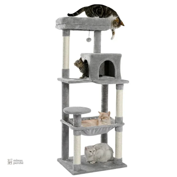 Arbre à chat beige, refuge douillet pour chats