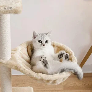 Arbre à chat avec hamac confortable