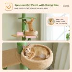 Modèle CactusCozy, arbre à chat moderne et ajustable