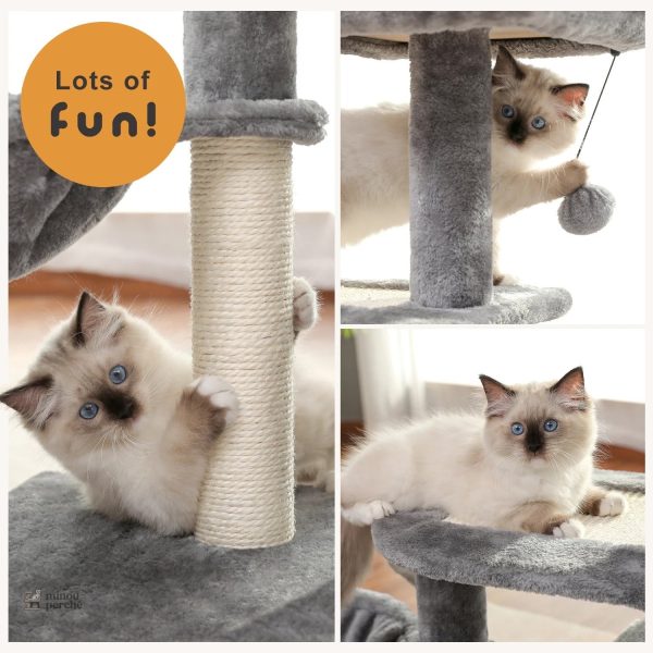 Design élégant d'arbre à chat beige et gris