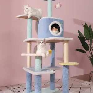 Arbre à chat bleu - Chat-astrophique