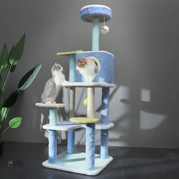 Arbre à chat pour chat, design bleu moderne