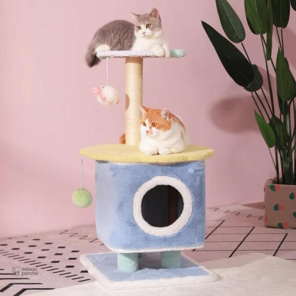 Arbre à chat bleu pour le confort de votre félin