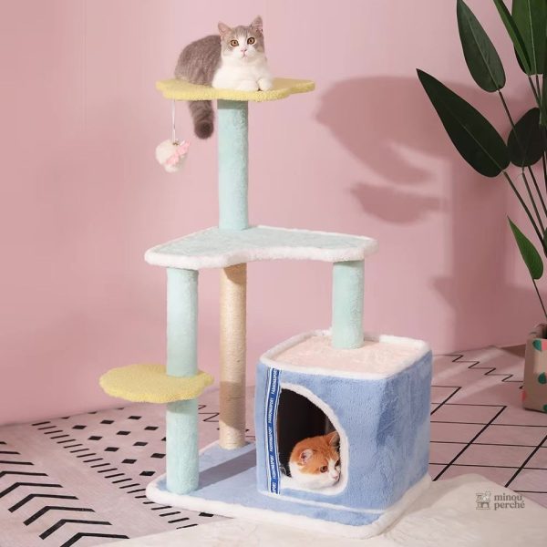Mobilier pour chats, arbre à chat bleu unique
