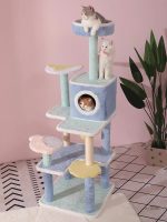 Arbre à chat bleu idéal pour le jeu et la détente
