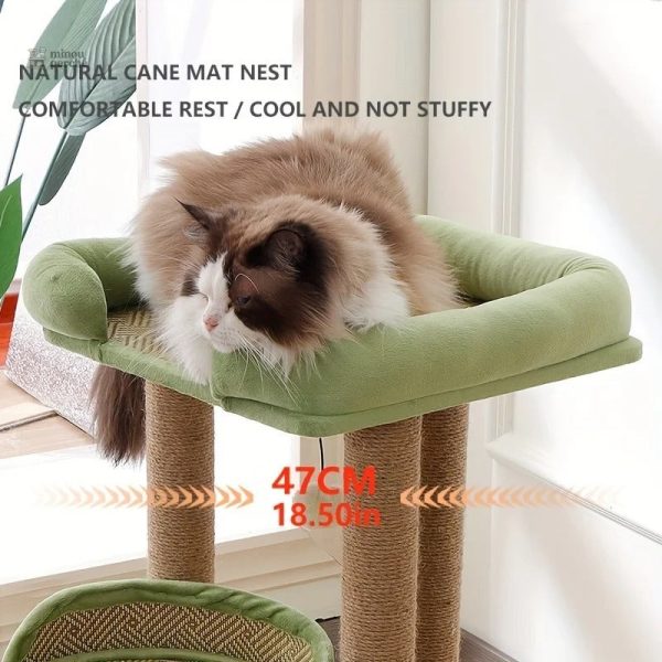 Mobilier pour chats ChicCat en bois durable