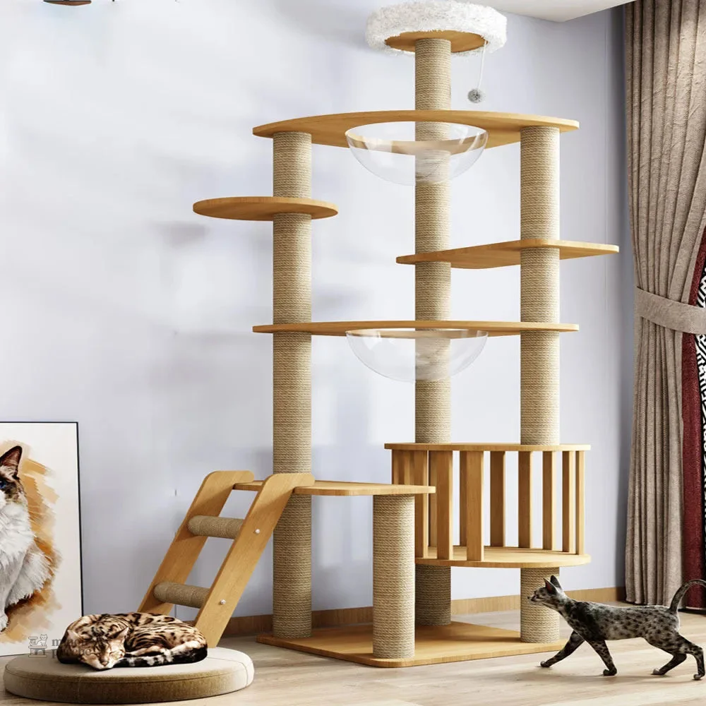 Arbre à chat avec litière