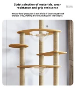 Mobilier pour chats en bois naturel