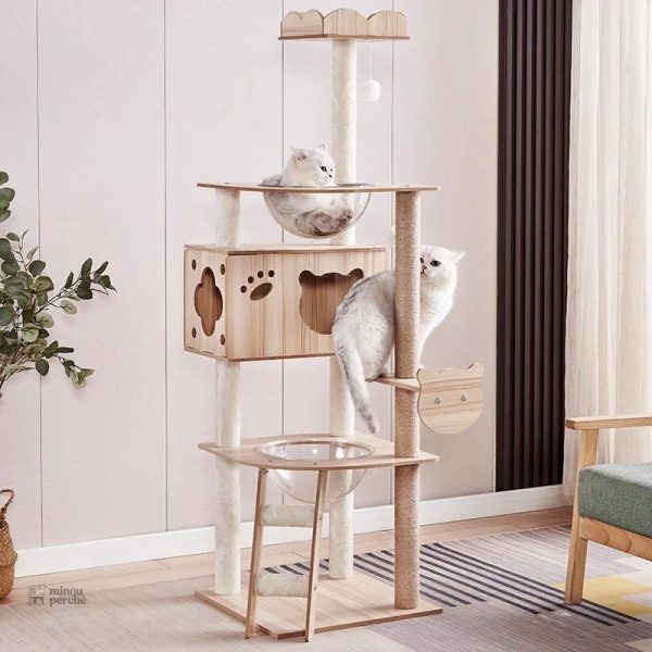 Arbre à chat fonctionnel en bois pour animaux