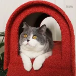 Boîte aux lettres pour chats, un refuge ludique et douillet