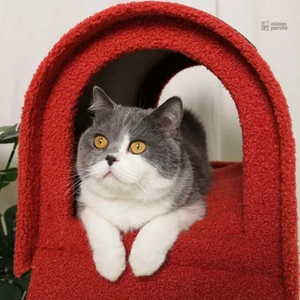 Boîte aux lettres pour chats, un refuge ludique et douillet