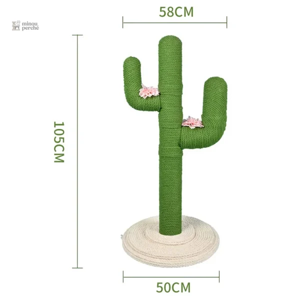 Cactus ludique pour chats curieux