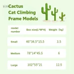 Cactus pour chats : refuge et jeu