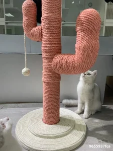 Cactus design moderne pour chats