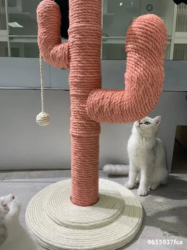 Cactus design moderne pour chats