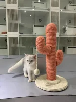 Cactus pour chats : espace de jeu
