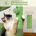 Cactus vert pour chats, un espace de jeu