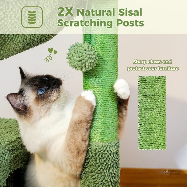 Cactus vert pour chats, un espace de jeu