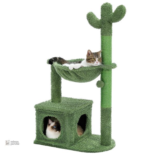 Arbre à chat cactus : un style unique