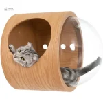 Arbre à chat capsule spatiale avec dôme d'observation