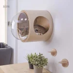 Dôme d'observation intégré sur arbre à chat