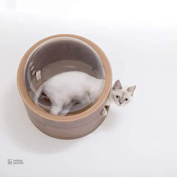 Capsule spatiale pour le confort des chats