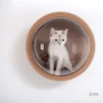 Dôme d'observation sur arbre à chat moderne