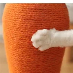 Accessoire de jeu pour chats en forme de carotte
