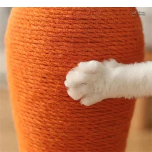 Accessoire de jeu pour chats en forme de carotte