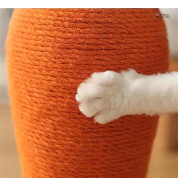 Accessoire de jeu pour chats en forme de carotte