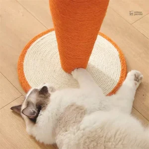 CarrotCat : arbre à chat ludique et coloré