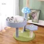 Espace de jeu coloré pour chats curieux