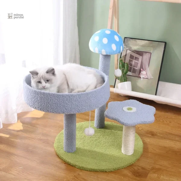 Espace de jeu coloré pour chats curieux