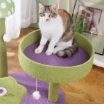 Arbre à chat coloré pour le plaisir de votre félin