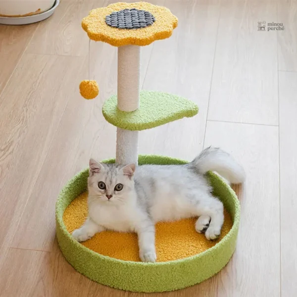 Espace de jeu coloré pour chats à explorer