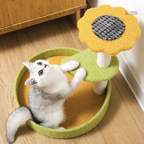 Structure colorée pour le bonheur des chats