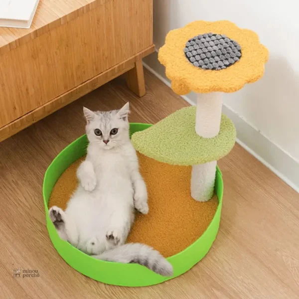 Arbre à chat en couleurs vives pour animaux