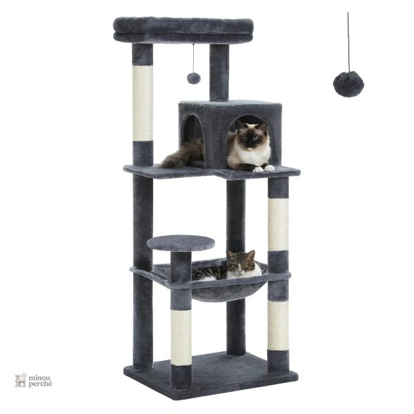 Arbre à chat multicolore pour le bien-être des chats