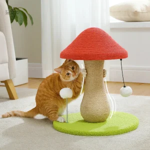 Arbre à chat champignon pas cher pour chats
