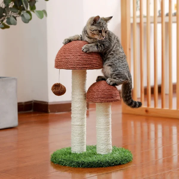 Structure de jeu pour chat avec style champignon