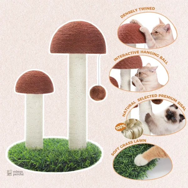 Arbre à chat compact et abordable pour animaux