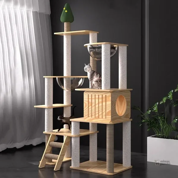 Arbre à chat moderne en bois élégant