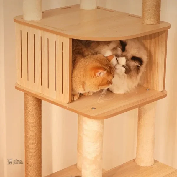 Félissime : arbre à chat au style épuré