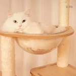 Arbre à chat design pour intérieur chic