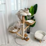 Arbre à chat design pour un intérieur moderne