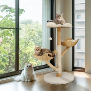 Modèle SkyNest mini, élégant et fonctionnel
