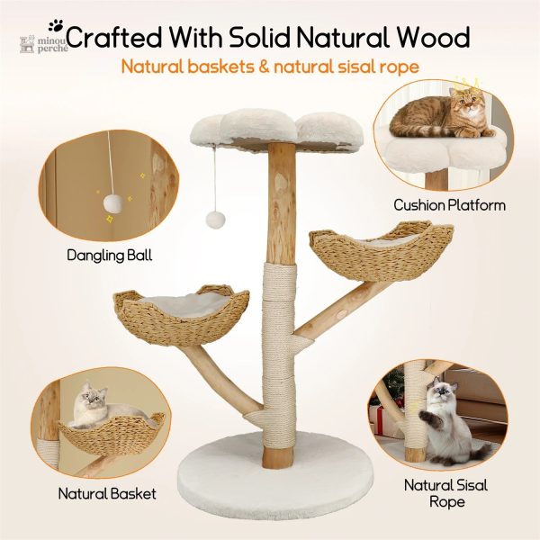 Design esthétique pour le bien-être des chats