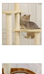 Dôme SkyNest : espace de jeu pour chats