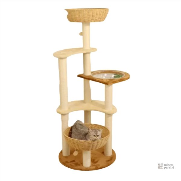 Arbre à chat en bois massif au design contemporain