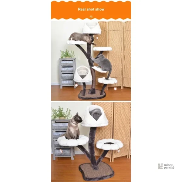 Fleur de chat, un accessoire décoratif pour animaux